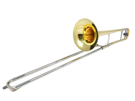 Triumph Series Bb Student Trombone